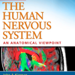 el sistema nervioso humano una perspectiva anatómica 2014Kiernan John, Rajakumar Nagalingam
