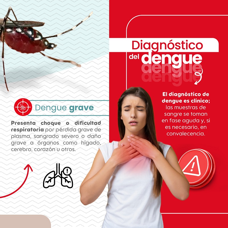 03_dia_mundial_dengue_2025